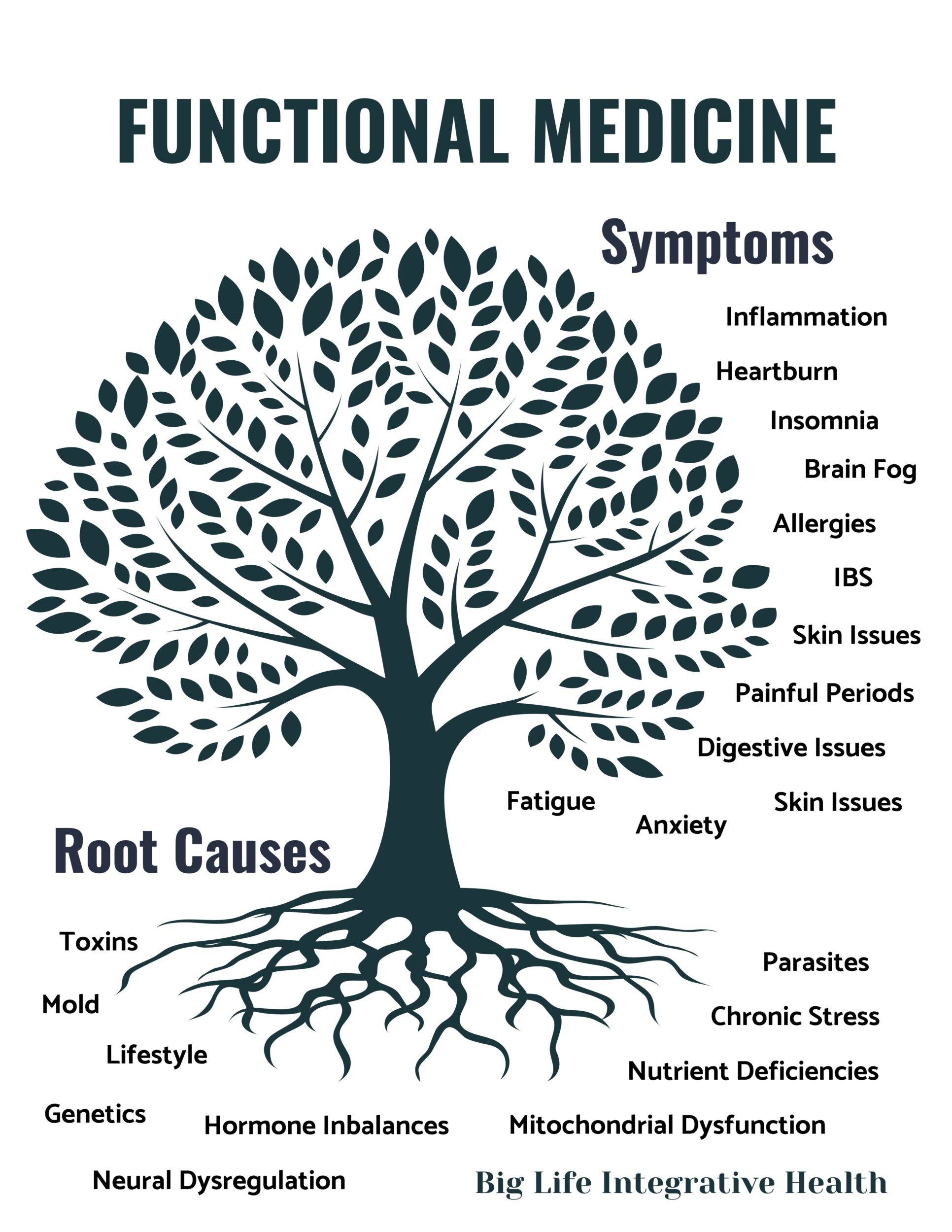 Functional Medicine in Lone Tree, CO 2 functional medicine tree scaled